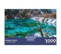 1000 Pièces paysages naturels Jeu Éducatif Parc National Torres Del Paine Puzzle Adulte Défi Jouets Puzzle Difficile Illustration - Premium Parfait pour Les Soirées De Jeu 38x26cm/1