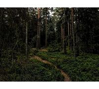 1000 Pièces Puzzle Adulte - Adultes et Enfants dès 14 Ans - forêts Chemin Arbres 75x50cm