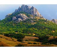 1000 Pièces Puzzle Adulte - Adultes et Enfants dès 14 Ans - Montagnes Roches Arbres 75x50cm