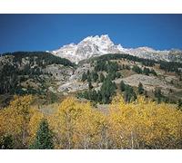 1000 Pièces Puzzle Adulte - Adultes et Enfants dès 14 Ans - Montagnes Roches Pierres 75x50cm