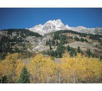 1000 Pièces Puzzle Adulte - Adultes et Enfants dès 14 Ans - Montagnes Roches Pierres 75x50cm