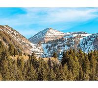 1000 Pièces Puzzle Adulte - Adultes et Enfants dès 14 Ans - Montagnes Sommets Arbres 75x50cm
