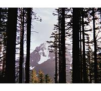 1000 Pièces Puzzle Adulte - Aide à la Relaxation - Montagnes Sommets Arbres 75x50cm