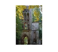 1000 Pièces Puzzle, Image De Puzzle en Bois pour Adultes，Maison des Templiers à Weimar，Jeux De Jouets Décontractés pour Adultes Et Adolescents Très Difficiles（75x50cm）-AS9