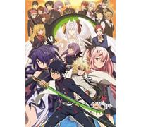 1000 Pièces Puzzle,Japanese Animes Seraphs of The End Poster Picture,Colourful,Irregular Puzzles,Jeu De Défi pour Adultes Pw250Wa