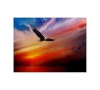 1000 pièces Puzzle，Paysage d'aigle Volant au Coucher du Soleil Rouge，Jeu de Puzzle 1000 pièces 1000 pièces Cadeaux d'œuvres d'art pour Adultes familles Adolescents（50x70cm）-N77