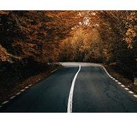 1000 Pièces Puzzle pour Adultes,Jeu d'Adresse pour Toute la Famille - Route Asphalte Virage 75x50cm