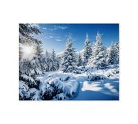 1000 Pièces Puzzle pour Adultes，Majestueux sapins Couverts de Neige dans Le Parc National des Carpates, Ukraine，1000 Pièces Puzzle Éducatif Intellectuel Décompression Amusant Jeu De Famille-A88