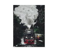 1000 Pièces Puzzle pour Enfants Adultes Jouet，Locomotive à Vapeur Historique，Jeu Intellectuel Jeu Éducatif pour Adulte Enfant Stress Décoration De La Maison Puzzles（50x70cm）-B18