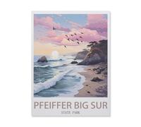 1000 Pièces Puzzles Adultes Adolescents Enfants Education，Parc d'État Pfeiffer Big sur，Unique Parfaitement Classique Éducation Super Hard Anniversaire Cadeau（50x70cm）-EF96