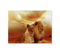 1000 pièces Puzzles，Couple au Coucher du Soleil Amoureux du Lion et de la lionne，décorations de Famille, Cadeau d'anniversaire Unique adapté aux Adolescents et aux Adultes（50x70cm）-N84