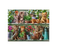 1000 Pièces Puzzles Drôles，Les Chats sur l'étagère，Adultes Puzzle en Papier, Jouets Éducatifs pour Enfants Joli Cadeau（38x26cm）-A97