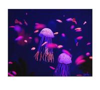 1000 Pièces Puzzles Drôles，Monde sous-Marin coloré : Aquarium avec méduses, Poissons et algues，Adultes Puzzle en Papier, Jouets Éducatifs pour Enfants Joli Cadeau（38x26cm）-W41