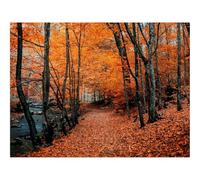 1000 Pieces Puzzles en Bois pour Adultes-Brouillard,Ville,Horizon 70x50cm