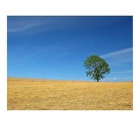 1000 Pieces Puzzles en Bois pour Adultes-Champ,Économie,Foin,Paille,Préparation,Été,Arbre 70x50cm