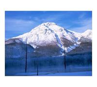 1000 Pieces Puzzles en Bois pour Adultes-Montagne,Volcan endormi,Arbres,Mort,Brouillard,lac 70x50cm