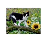 1000 Pièces Puzzles pour Adultes，Chat Noir et Blanc avec des tournesols，Défi Puzzles pour Enfants Éducation Jouets Jeu pour Bricolage Décoration Murale（50x70cm）-AT83