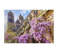 1000 Pièces Puzzles pour Adultes Enfants，Glycine en Fleurs dans Le cloître de la cathédrale de Magdebourg，Puzzles pour Enfants Jouets Éducatifs Jeu Puzzles 1000 Pièces（50x70cm）-AI27