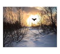 1000 Pièces Puzzles pour Adultes Jeu éducatif Challenge Toy-Arbres,Branches,Neige,Oiseau,Silhouette 70x50cm