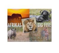 1000 Pièces Puzzles pour Adultes，Les Grands Cinq d'Afrique，Défi Puzzles pour Enfants Éducation Jouets Jeu pour Bricolage Décoration Murale（75x50cm）-AF39