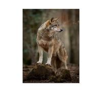1000 Pièces Puzzles pour Adultes，Loup Gris dans Une Pose usée par Le Temps dans la forêt，Enfants Papier Puzzle Jeu Éducatif Jouets Éducatifs（38x26cm）-K73