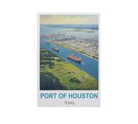 1000 Pièces Puzzles pour Adultes，Port de Houston, Texas，Puzzles pour Enfants Jouets Éducatifs Jeu Bois Matériel HD Impression Affiche Bricolage（75x50cm）-GG91
