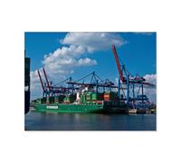 1000 Pièces Puzzles pour Adultes Puzzle，Chargement et déchargement，Enfant PaperMaterial Intellectua Jeux De Famille Stress Reliever Jouet DIY Cadeau d'anniversaire（38x26cm）-AS21