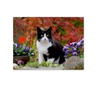 1000 Pièces Puzzles pour Adultes Puzzle，Chat Noir et Blanc dans Un Jardin en Fleurs，Enfant Bois Matériel Intellectua Famille Jeux Anti-Stress Jouet Bricolage Cadeau d'anniversaire（75x50cm）-AT82