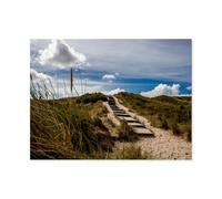 1000 Pièces Puzzles pour Adultes Puzzle,Herbe de Plage, escalier dans Les Dunes,Enfant Papier Matériel Intellectua Famille Jeux Anti-Stress Jouet Bricolage Cadeau d'anniversaire(50x70cm)-AR78