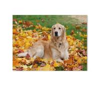 1000 Pièces Puzzles pour Adultes Puzzle，Retriever Golden，Enfant Papier Matériel Intellectua Famille Jeux Anti-Stress Jouet Bricolage Cadeau d'anniversaire（38x26cm）-AD18