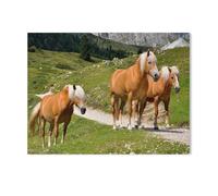 1000 Pièces Puzzles，Trois Chevaux Haflinger sur Un alpage en Tyrol du Sud, Italie，Jeu De Puzzle Oeuvre pour Adultes Adolescents Jouant À La Maison Divertissement Jouets Décor À La Maison-G1
