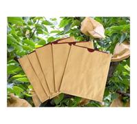 1000 pièces Sac de Protection des Fruits, Sacs de Culture imperméables en Couche, Sac d'élevage de verger agricole for pêche/Pomme/Poire, Lutte antiparasitaire Anti-Oiseaux, 15 * 18 cm