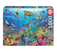 1000 Tortugas En El Paraiso