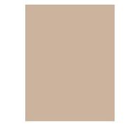 1000 unité - Papier Ingraissables Fast Food 34 G/M2 28X34 Cm Naturel Parch.Ingraissable
