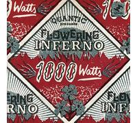 1000 Watts