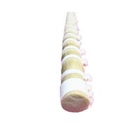 1000g violon alto violoncelle mongolie naturel blanc arc cheveux queue de cheval 80-85cm