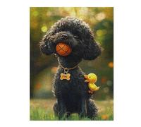 1000pcs(52x38cm) Puzzle pour Adolescents Adorable Poodle with Basketball and Rubber Duck Puzzles pour Adultes Jouets Anti-Stress Assemblage De Motifs Activités Amusantes À La Maison 1000pcs(52x38cm)