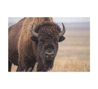 1000pcs(75x50cm) Casse-tête pour Adolescents American Bison Portrait Casse-têtes pour Adolescents Jeux Relaxants Analyse Et Logique Cadeaux pour Les Amis Et La Famille 1000pcs(75x50cm)