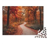 1000pcs (75x50cm) Winding Path Through Autumn Forest with Deciduous Trees Puzzle Jouet en Bois Cadeau Unique Décoration Intérieure Jeu Éducatif Challenge Toy