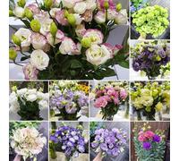 1000pcs graines de fleurs de lisianthus, fleurs doubles grandiflorum, faciles à cultiver, haute germination, idéales pour bouquets et jardins (Mixed Style)