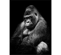 1000piece Paper Puzzle Gorilla Children's Sticker Art Craft Decoration Gift 38x26cm