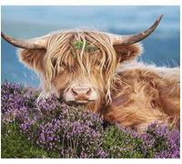 1000piece Paper Puzzle Highland Cow Purple Flowers Suitable for Wall Art Home Decoration 38x52cm