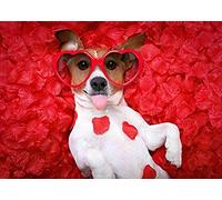 1000piece Paper Puzzle Pet Dog Jack Russell Terrier Home Decor Art Decoration Gift 38x26cm