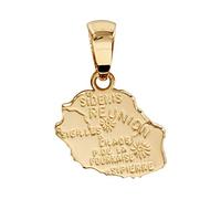 1001 Bijoux Pendentif carte Réunion plaqué or + écrin (offert)