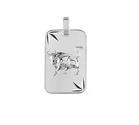 1001 Bijoux Pendentif zodiaque plaque GI taureau argent rhodié (Argent 925‰ + protection Rhodium) diamanté étoile + écrin (offert) + Certificat d'Authenticité Argent 925‰