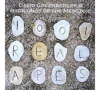 David Greenberger & Birdsongs of the Mesozoic - 1001 Real Apes