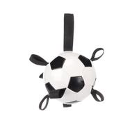 1001kdo Ballon de Football Flottant avec Rubans pour Chien 14 cm Blanc