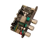 -1001U Module de carte amplificateur BT mono 100 W DC 9-24 V prenant en charge la puce APP