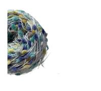 100g Bobble Yarn, Colorful Ping Pong Thread For DIY Scarf Knitting, Craft Balls(06 2 rolls)