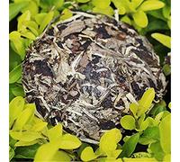 100g Caicheng Cru Pu erh Thé Mini Gâteau Parfumé Blanc Clair De Lune Vieux Puer Thé